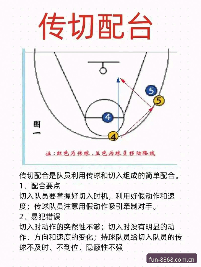 资深用户分享：8868体育最新版本使用指南实战经验